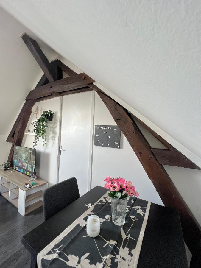 Bel Appartement Lumineux 35M2, Bord De Loire Saint-Jean-le-Blanc Exterior foto