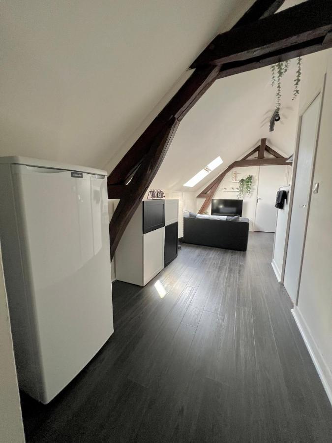 Bel Appartement Lumineux 35M2, Bord De Loire Saint-Jean-le-Blanc Exterior foto